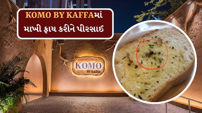 અમદાવાદના KOMO BY KAFFAમાં ગાર્લિક બ્રેડમાં માખી ફ્રાય કરીને પીરસાઈ