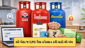 લાઈનમાં ઉભા રહેવાની નથી જરુર ! ઘરે બેઠા LPG કનેક્શન કરી શકશો બંધ
