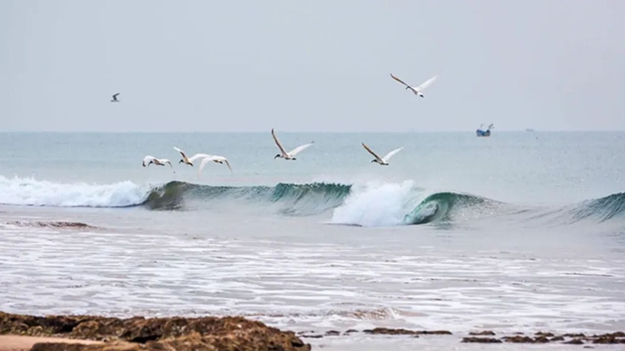 માધવપુર મેળામાં કેવી રીતે જવું તો જો તમે બાય રોડ જઈ રહ્યા છો. તો માધવપુર પોરબંદર-વેરાવળ હાઈવે પર આવેલું છે. પોરબંદર, જૂનાગઢ અને સોમનાથથી સીધી બસ સેવા ઉપલબ્ધ છે. તેમજ ટ્રેન દ્વારા જવું છે તો નજીકનું રેલ્વે સ્ટેશન પોરબંદર છે. ફ્લાઈટ દ્વારા જવા માંગો છો તો. નજીકનું એરપોર્ટ પોરબંદર છે, ત્યારબાદ રોડ માર્ગે જઈ શકાય છે.  (All photo : Gujarat tourisam)