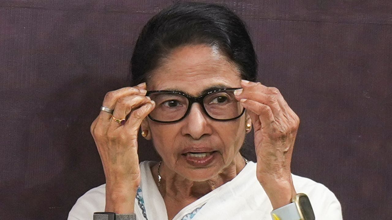 તેઓ એક સ્વ-શિક્ષિત ચિત્રકાર પણ છે.તેમના ચિત્રોની પણ ઘણી વખત હરાજી કરવામાં આવી છે. તેઓ એક ગીતકાર પણ છે.શ્રેયા ઘોષાલ દ્વારા ગવાયેલ 'મા ગો તુમી સરબોજાનીં' તેના સૌથી લોકપ્રિય ગીતોમાંનું એક છે. (all photo : PTI)