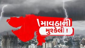 માવઠાએ ખેતરોમાં રહેલા પાકનો સોંથ વાળી નાખ્યો, જુઓ Video