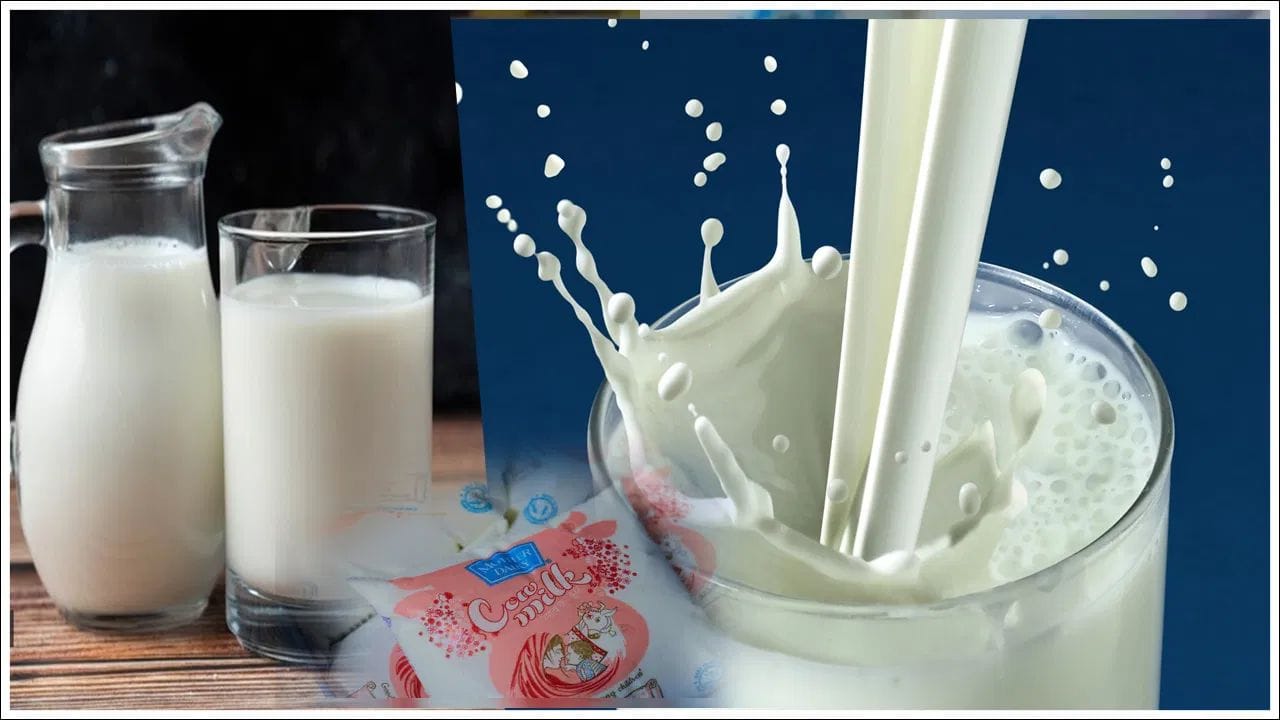 દેશભરમાં દૂધમાં ભેળસેળની વધતી જતી ઘટનાઓ વચ્ચે આ નિર્ણય લેવામાં આવ્યો છે. FSSAI નું કહેવું છે કે, ઘણા રાજ્યો અને કેન્દ્રશાસિત પ્રદેશોમાંથી દૂધમાં ભેળસેળના કિસ્સાઓ સામે આવ્યા છે. ભારતમાં દૂધના પુરવઠાનો મોટો હિસ્સો હજુ પણ અસંગઠિત ક્ષેત્ર (Unorganized Sector) માંથી આવે છે, જ્યાં નાના ઉત્પાદકો અને સ્થાનિક વિક્રેતાઓ સીધા ગ્રાહકોને દૂધ વેચે છે. આવા કિસ્સાઓમાં દેખરેખ અને ટ્રેસિંગ કરવું મુશ્કેલ બની જાય છે. રેગ્યુલેટરનું માનવું છે કે, તમામ વિક્રેતાઓને લાયસન્સ વ્યવસ્થા હેઠળ લાવવાથી દૂધની સપ્લાય ચેઈનમાં પારદર્શકતા વધશે અને જવાબદારી નક્કી કરવી સરળ બનશે.