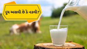 દૂધમાં કેમિકલની ભેળસેળથી સાવધાન! ઘરે જ કરો આ 5 સરળ ટેસ્ટ