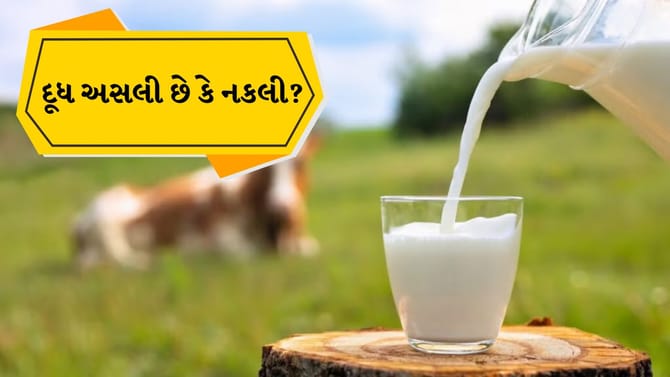 દૂધમાં કેમિકલની ભેળસેળથી સાવધાન! ઘરે જ કરો આ 5 સરળ ટેસ્ટ