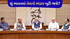 તેલ ખૂટી જશે? પશ્ચિમ એશિયા સંકટ પર સરકારે આપ્યા ચોંકાવનારા જવાબ