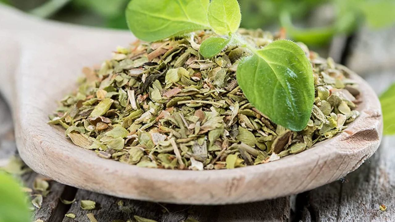 રેફ્રિજરેટરમાં સ્ટોર કરો: જો તમે મોટી માત્રામાં ઓરેગાનો ખરીદ્યો હોય, તો તેને રેફ્રિજરેટરમાં હવાચુસ્ત કન્ટેનરમાં સ્ટોર કરો. આ તેની સુગંધ લાંબા સમય સુધી જાળવી રાખશે.
