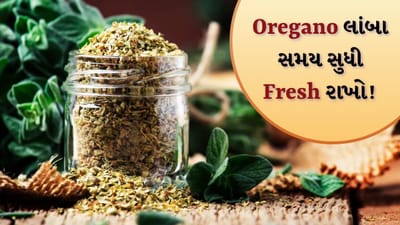 How To Keep Oregano Seasoning Fresh: પિઝા, પાસ્તા, સેન્ડવીચ, કે સલાડ - ઓરેગાનો સીઝનીંગ ખોરાકના સ્વાદમાં ખૂબ જ વધારો કરે છે. પરંતુ ઘણી વાર સમય જતાં, ઓરેગાનોની સુગંધ ઓછી થઈ જાય છે અને તેનો સ્વાદ ઓછો થઈ જાય છે. આ ઘણીવાર અયોગ્ય સંગ્રહને કારણે થાય છે. જો તમે ઓરેગાનોને લાંબા સમય સુધી તાજા, સુગંધિત અને સ્વાદિષ્ટ રાખવા માંગતા હો, તો આ સરળ ટિપ્સ ખૂબ મદદરૂપ થશે.

