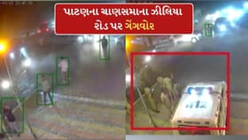 પાટણના ચાણસ્મા ખાતે ગેંગવોરની ઘટના, PI સહિત 8 પોલીસકર્મી સસ્પેન્ડ