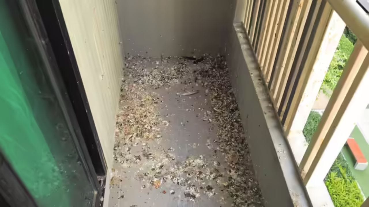 તમે તેમને પવનમાં ઉડી ન જાય તે માટે ટેપથી સુરક્ષિત કરી શકો છો. જ્યારે તેઓ પવનમાં સહેજ હલતા હોય છે, ત્યારે તેઓ જે પ્રકાશ ફેંકે છે તે વધુ અસરકારક બને છે.