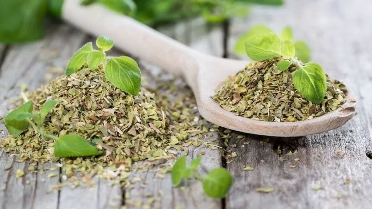 નાના પેકેટમાં સ્ટોર કરો: વારંવાર મોટા પેકેટ ખોલવાથી સુગંધ દૂર થઈ શકે છે. તેથી ઓરેગાનોને નાના કન્ટેનરમાં વિભાજીત કરો.
