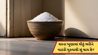 ઘરના ખૂણામાં મીઠું ભરીને વાટકી મુકવાથી શું થાય છે ? જાણો અહીં
