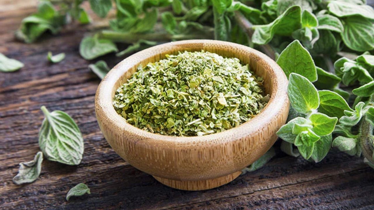 6 મહિનાની અંદર ઉપયોગ કરો: જો ઓરેગાનો ખૂબ લાંબા સમય સુધી સંગ્રહિત કરવામાં આવે તો તેનો સ્વાદ ગુમાવે છે, તેથી 6 મહિનાની અંદર તેનો ઉપયોગ કરવાનો પ્રયાસ કરો. જો ઓરેગાનો તેની સુગંધ ગુમાવી રહ્યો હોય તેવું લાગે, તો તેને તમારા હાથથી હળવેથી વાટી લો અને પછી ઉપયોગમાં લો. સુગંધ ફરીથી પહેલા જેવી જ આવશે. (Credit Image: Google Image)
