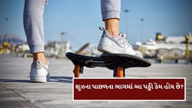 શૂઝના પાછળના ભાગમાં આ પટ્ટી કેમ હોય છે? જાણો સાચું કારણ