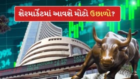 શેરમાર્કેટમાં આવશે જોરદાર તેજી? આ ત્રણ કારણ રોકાણકારોને કરશે માલામાલ
