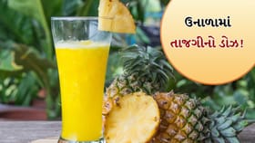 ઉનાળામાં તાજગીનો ડોઝ! આ દેશી શરબતો રાખશે શરીર ઠંડું અને હાઇડ્રેટેડ