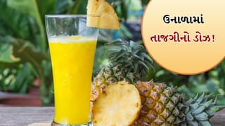 વરિયાળીથી લઈને ખસ સુધી… આ શરબતો ગરમીથી તાત્કાલિક રાહત આપે છે