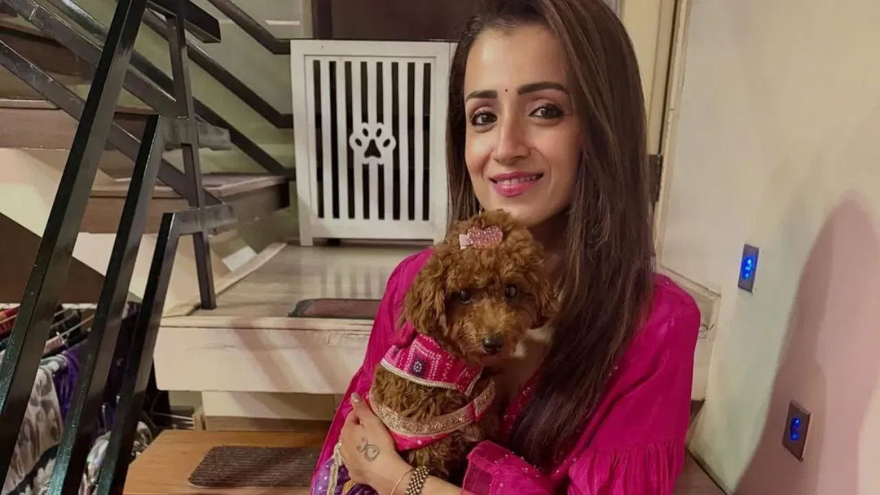 અહેવાલો અનુસાર, બ્રેકઅપનું મુખ્ય કારણ કારકિર્દીના તફાવતો હતા. એવું કહેવાય છે કે વરુણ મણિયાનનો પરિવાર ઈચ્છતો હતો કે લગ્ન પછી ત્રિશા કૃષ્ણન ફિલ્મનું કામ છોડી દે, પરંતુ અભિનેત્રીએ તેના કરિયરને પ્રાથમિકતા આપી. (ફોટો ક્રેડિટ- ઈન્સ્ટાગ્રામ)