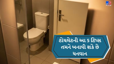 વાસ્તુશાસ્ત્ર મુજબ શૌચાલય કઈ દિશામાં બનાવવામાં આવે છે તે ખૂબ જ મહત્વનું ગણાય છે. માન્યતા પ્રમાણે, તેને ઉત્તર-પશ્ચિમ અથવા દક્ષિણ-પૂર્વ દિશામાં બનાવવાનું ટાળવું જોઈએ. જો શૌચાલય યોગ્ય દિશામાં બનાવવામાં આવે, તો ઘરમાં સકારાત્મક ઊર્જા રહે છે, જે સુખ-સમૃદ્ધિ અને આર્થિક વૃદ્ધિમાં મદદરૂપ બને છે. ( Credits: AI Generated )