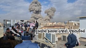 દુબઈમાં હસાયા 3000 થી વધુ ગુજરાતીઓ, સો. મીડિયા પર વ્યક્ત કરી ચિંતા