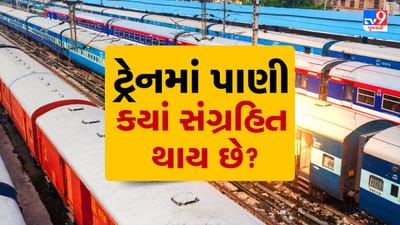 આજના સમયમાં પણ ભારતમાં ઘણાં લોકો ટ્રેનમાં મુસાફરી કરવાનું પસંદ કરે છે. ટ્રેનને સુરક્ષિત અને વિશ્વસનીય માધ્યમ માનવામાં આવે છે. સાથે સાથે, તેની ટિકિટ સામાન્ય લોકોના બજેટમાં હોવાને કારણે ઓછી કિંમતમાં લાંબા અંતર સુધી સહેલાઈથી જઈ શકાય છે. તમે પણ ટ્રેનમાં મુસાફરી કરતા હશો, છતાં ટ્રેન સાથે જોડાયેલી કેટલીક એવી રસપ્રદ અને અજાણી માહિતી હશે જે તમને આશ્ચર્યમાં મૂકી શકે છે. ( Credits: AI Generated )