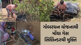 ગેસ સિલિન્ડરથી મુક્તિ, ગોબરધન યોજનાથી ઘરનું રસોડું ધમધમ્યું!