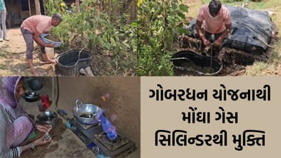 હવે મોંઘા સિલિન્ડરને કાયમ માટે કહો 'ગુડબાય', મફતમાં રસોઈ સાથે ખેતીમાં પણ થશે લાખોની કમાણી!