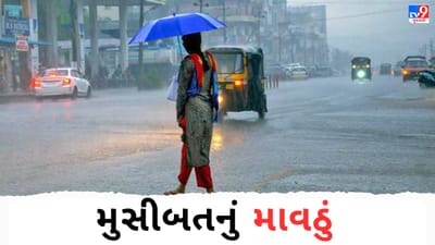 Breaking News : ગુજરાતમાં માવઠાનું સંકટ બીજે દિવસે પણ યથાવત, 10 જિલ્લામાં કમોસમી વરસાદની આગાહી, ખેડૂતો ચિંતિત