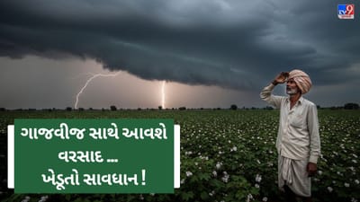 Breaking News : રાજ્યમાં ફરી માવઠાંની મોકાણ ! 3 વરસાદી સિસ્ટમ એકસાથે સક્રિય