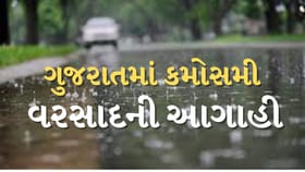 ભર ઉનાળે થશે માવઠું ! 18થી 20 માર્ચ સુધી 20 જિલ્લામાં વરસાદનું એલર્ટ