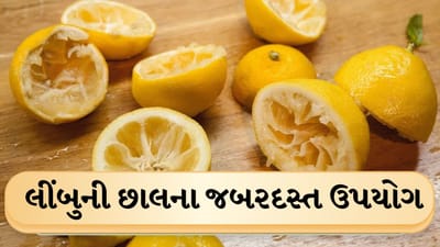 કામની વાત: લીંબુની છાલ છે બહુ જ કામની, તેનાથી થઈ શકે છે ઘણા કામ