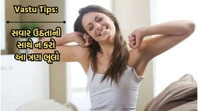 Vastu Tips: સવારે ઉઠતાવેંત ક્યારેય ન કરો આ ત્રણ ભૂલો, અટકી જશે તરક્કી