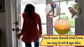 ઘરની બહાર નીકળતી વખતે આ વસ્તુઓ દેખાય તો મળે છે શુભ સંકેત