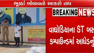 Breaking News: કાળઝાળ ગરમીનો કહેર: વાઘોડિયા એસટી ડેપોમાં આધેડનું મોત