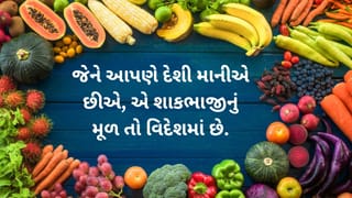 Vegetables Origin: ભારતમાં ખવાતી દેશી શાકભાજીનો વિદેશી ઇતિહાસ શું છે? જાણો