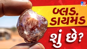 ‘બ્લડ ડાયમંડ’ શું છે? યુદ્ધમાં કેમ થાય છે તેની સૌથી વધારે માંગ!