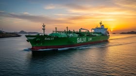 LPG અછત દૂર થશે! 46,000 ટન ગેસ ભરેલું 'ગ્રીન સાલ્વી' જહાજ ભારત નજીક