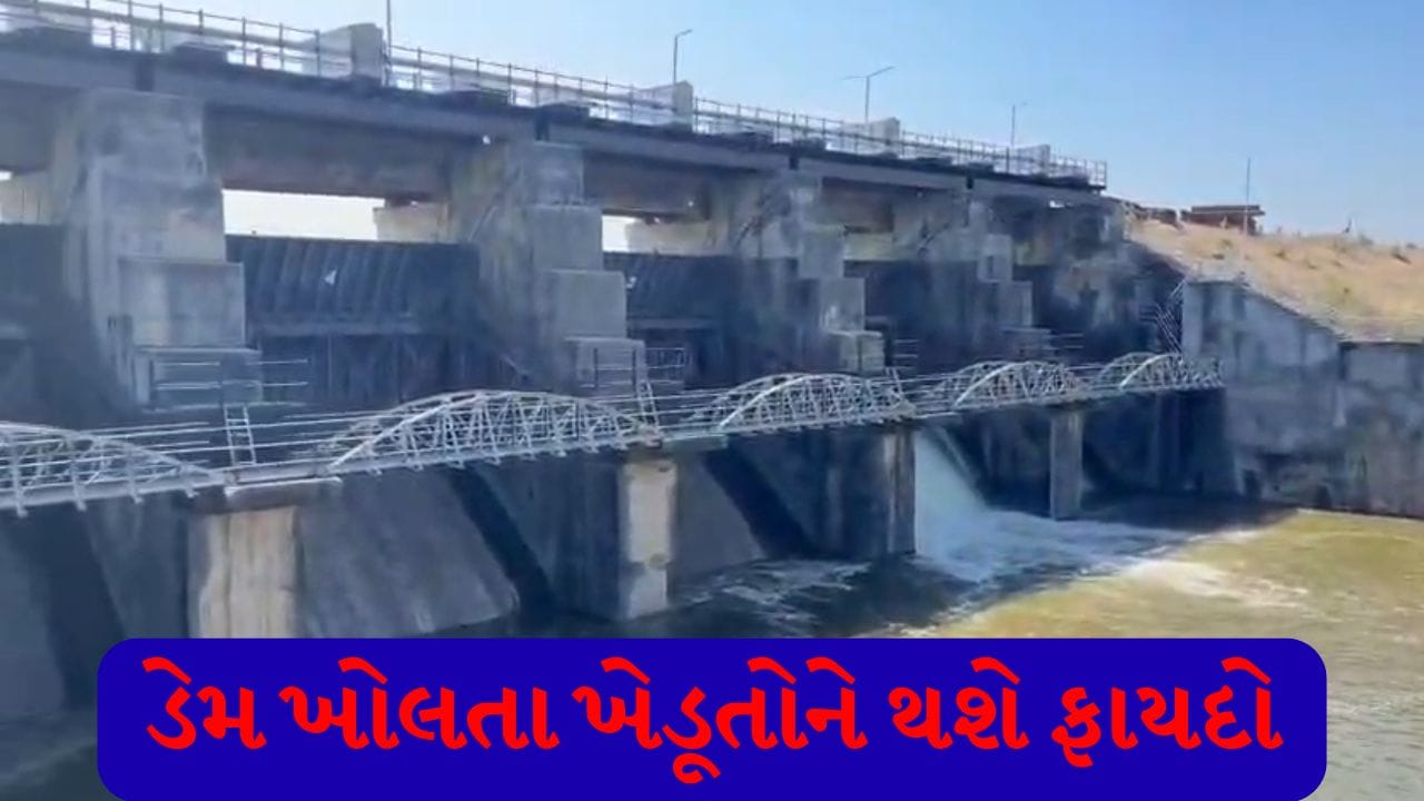 અમરેલીમાં ભરઉનાળે નદીઓ થઈ જીવંત, વડિયાના સુરવો ડેમનો દરવાજો ખોલાયો, ખેડૂતોમાં ખુશીની લહેર! અમરેલીમાં ભરઉનાળે નદીઓ થઈ જીવંત, વડિયાના સુરવો ડેમનો દરવાજો ખોલાયો, ખેડૂતોમાં ખુશીની લહેર!