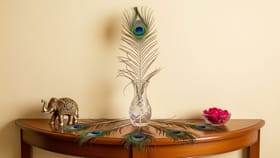 ઘરમાં મોરપંખ રાખતી વખતે આ 5 ભૂલો તો નથી કરતા ને?