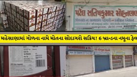 રસમલાઈ અને પોપટ છાપ ગોળના નમૂના ફેલ, ખાતા પહેલા સાવધાન!