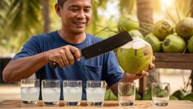 વધુ પાણીવાળું નારિયેળ કેવી રીતે ઓળખવું? જાણો વેપારીની સિક્રેટ ટિપ્સ