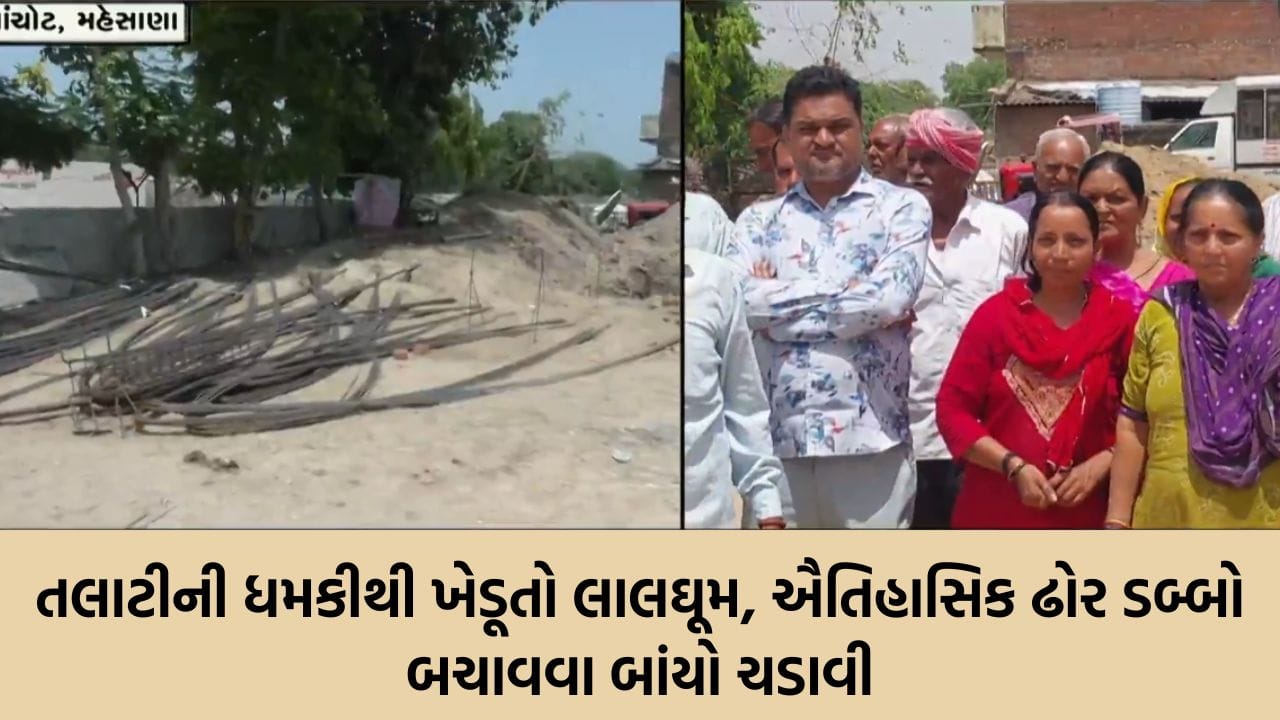 અબોલ જીવોનો આશરો છીનવાયો ? પાંચોટમાં ઐતિહાસિક ઢોર ડબ્બાની જગ્યાએ પંચાયત ઘર બનાવવા મુદ્દે ગ્રામજનો અને તંત્ર સામસામે અબોલ જીવોનો આશરો છીનવાયો ? પાંચોટમાં ઐતિહાસિક ઢોર ડબ્બાની જગ્યાએ પંચાયત ઘર બનાવવા મુદ્દે ગ્રામજનો અને તંત્ર સામસામે