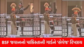 વાઘા બોર્ડર પર BSF જવાનનો સેવેજ રિપ્લાય; પાકિસ્તાની ગાર્ડની ઉડાવી મજાક