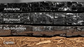 કોલસાના આ 4 પ્રકારો બદલી શકે છે દુનિયાનું ભવિષ્ય; ભારત માટે કેમ છે ખાસ