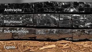 દુનિયા ગમે તેટલી આધુનિક બને પણ ‘કાળા સોના’ વગર બધું જ અંધકારમય ! જાણો કોલસાના એ 4 પ્રકારો જે છે સુપર પાવર