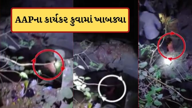 ગીરસોમનાથમાં AAPના કાર્યકર કુવામાં ખાબક્યા, વીડિયો થયો વાયરલ