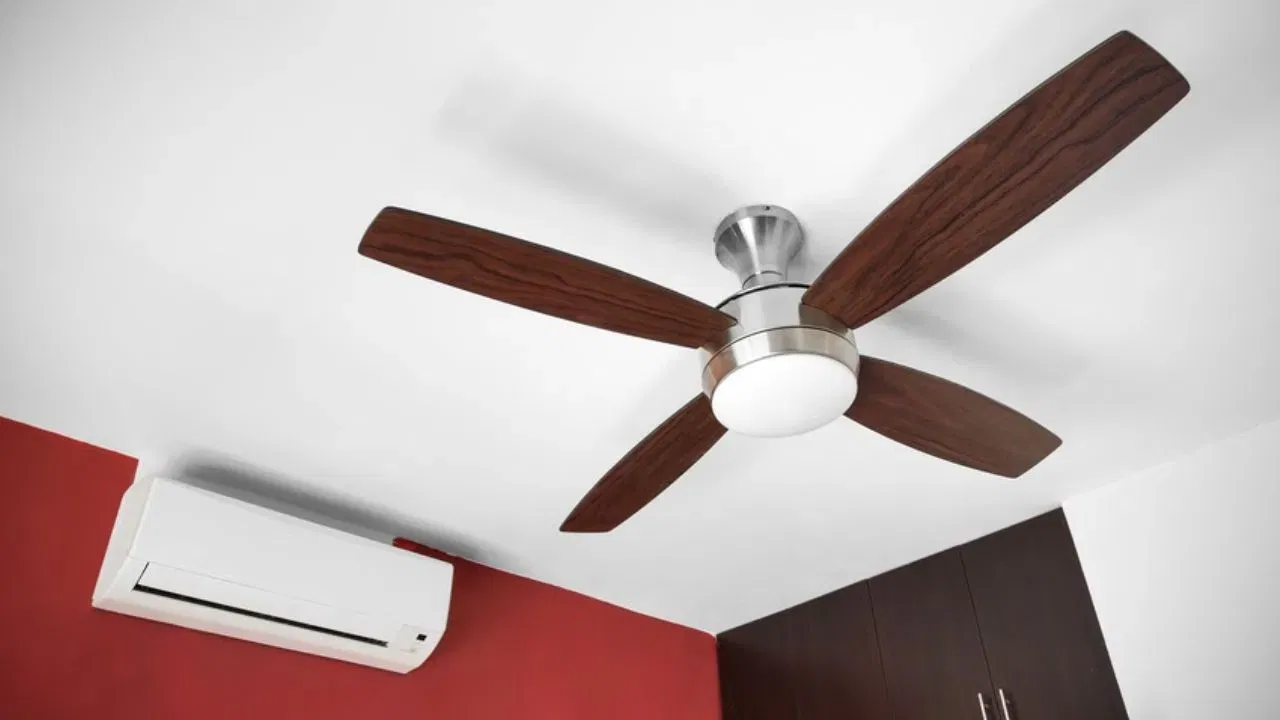 તમારા ખિસ્સા પર અસર: કંપની તરફથી સેવા ખૂબ મોંઘી હોઈ શકે છે. તેઓ દરેક નાની વસ્તુ માટે બિલ ઉમેરે છે, અને તમારે લાંબો સમય રાહ જોવી પડી શકે છે.(ફોટો ક્રેડિટ-Google)