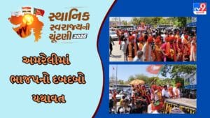Breaking News: અમરેલી સ્થાનિક સ્વરાજની ચૂંટણીમાં ભાજપનો દબદબો યથાવત જિલ્લા પંચાયત સહિત તમામ 6 નગરપાલિકા પર કબજો