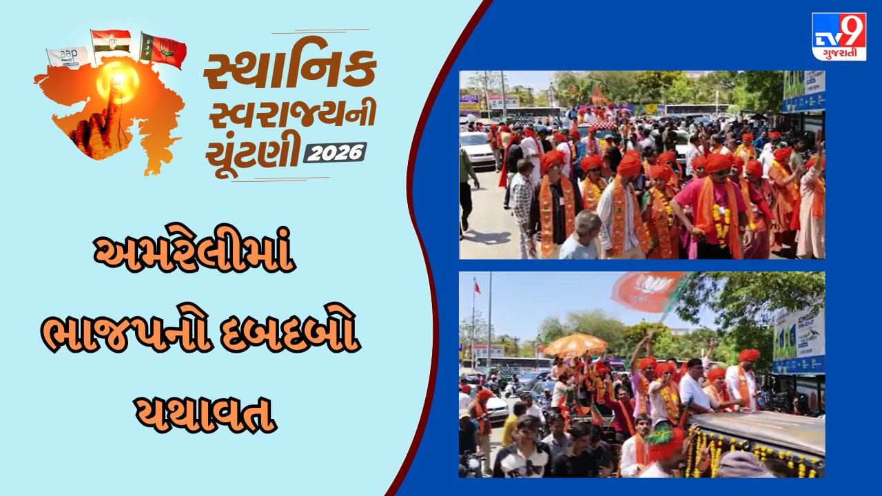 Breaking News: અમરેલી સ્થાનિક સ્વરાજની ચૂંટણીમાં ભાજપનો દબદબો યથાવત જિલ્લા પંચાયત સહિત તમામ 6 નગરપાલિકા પર કબજો