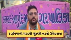 આણંદના કોંગ્રેસ ઉમેદવાર પાસે નથી ચૂંટણી લડવાના પૈસા, મતદારો પાસેથી ઉઘરાવ્યો 1-1 રુપિયો, જુઓ-Video