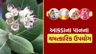 Aakada leaves Benefits : આકડાના પાન તમારી આટલી સમસ્યાઓ કરે છે દૂર, તમે નહીં જાણતા હોવ..